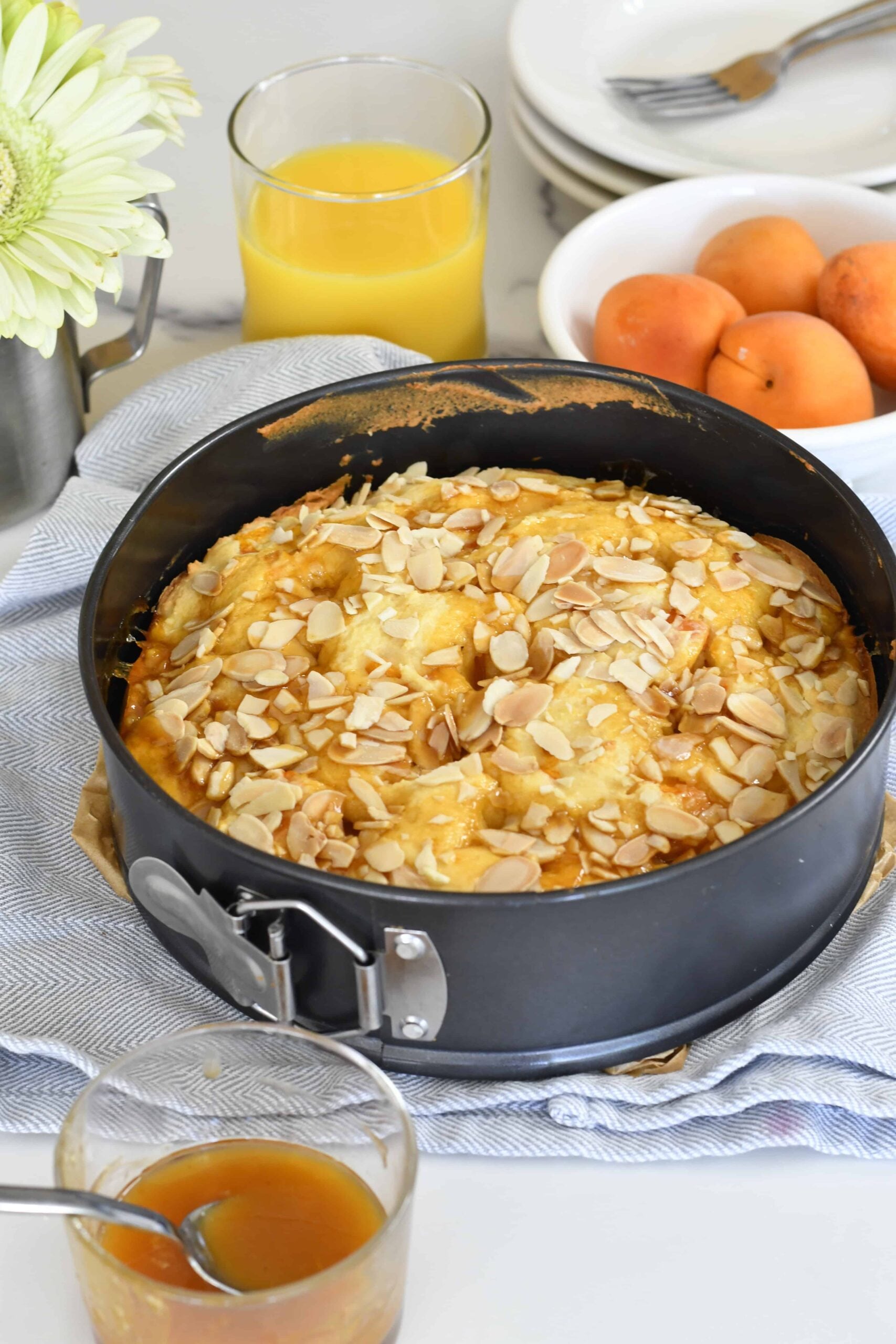 Soft Apricot Ricotta Cake with Almonds