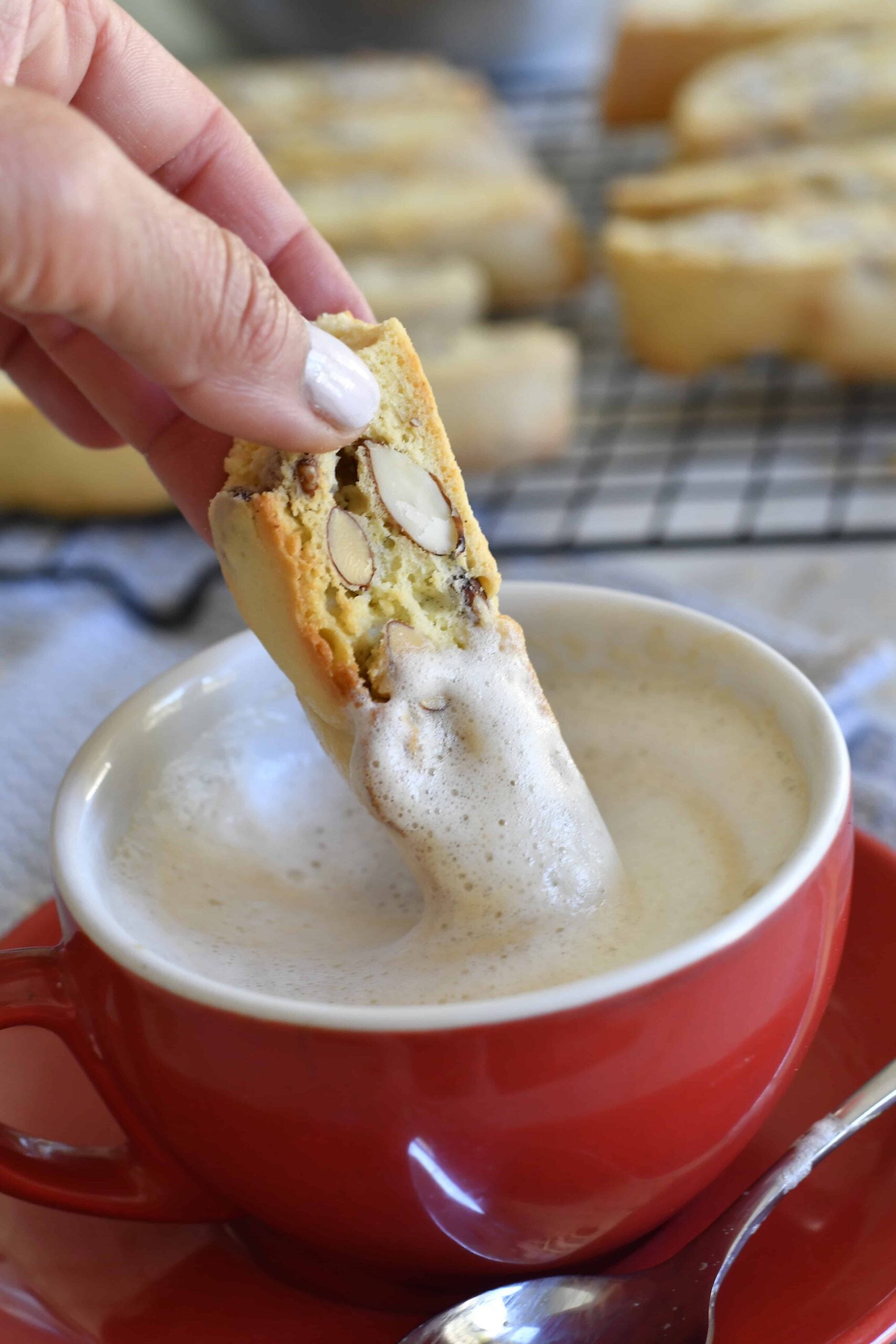 Italian Almond Biscotti (Cantucci)