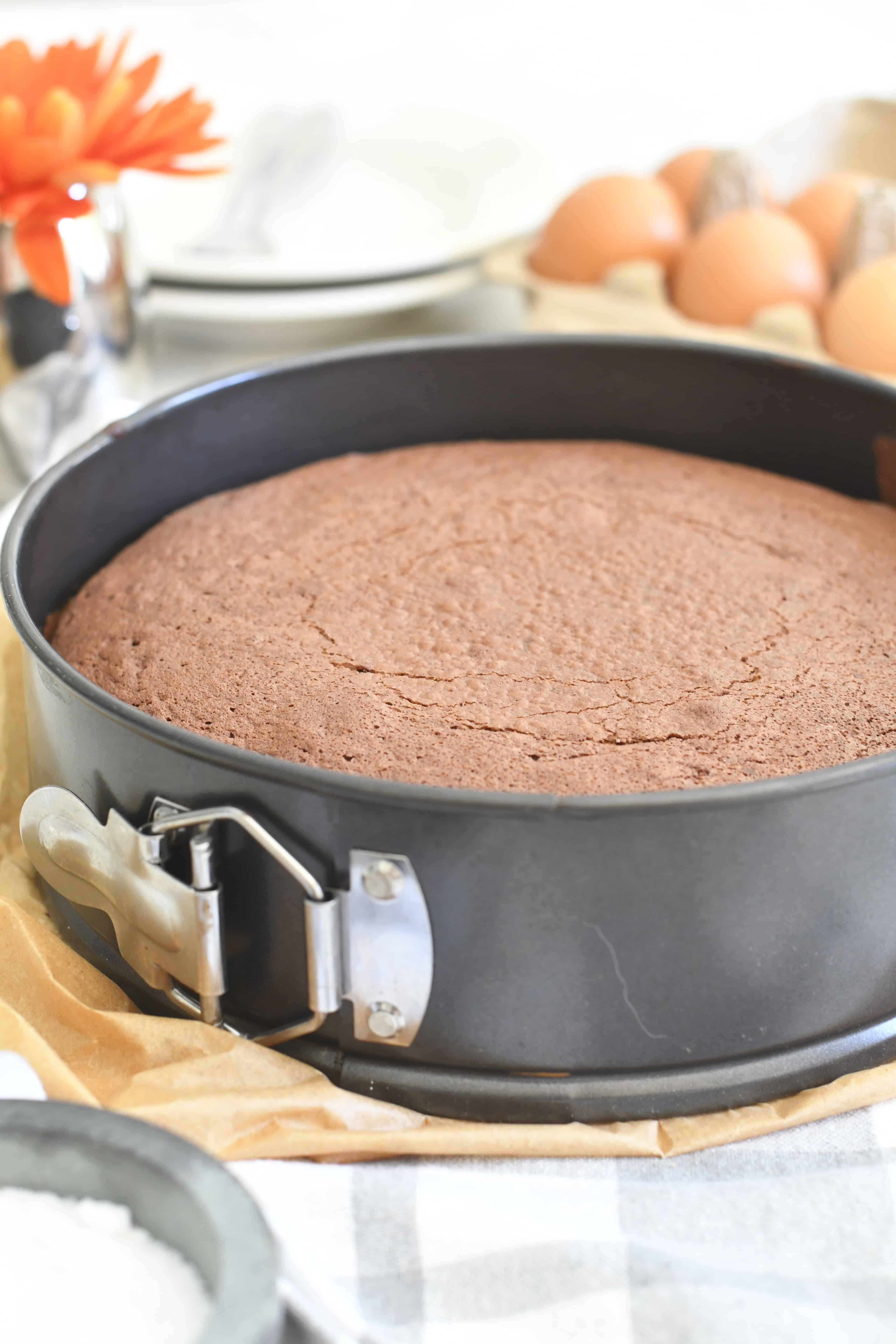 Classic Torta Tenerina — Italian Flourless Chocolate Cake